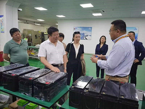 鹅鹅鹅的.jpg