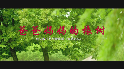 包头2.jpg