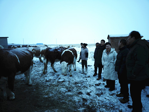 微信图片_20231221132329_副本.jpg